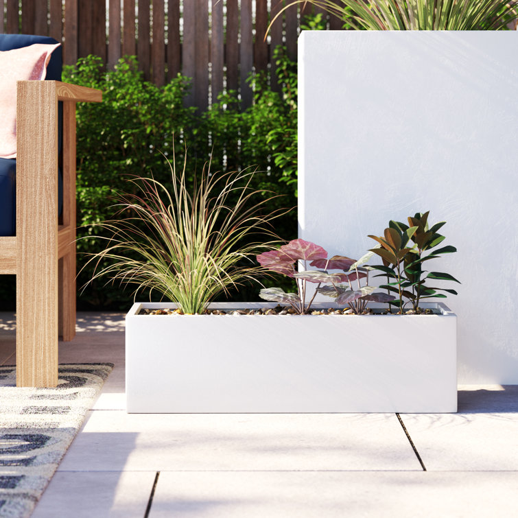 Oliver Menaal Rectangle Fiberglass Planter Box & Reviews Wayfair